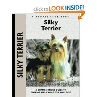 Wind dancer silky terriers