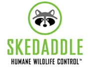 Skedaddle humane wildlife control