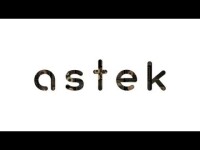 Astek Inc