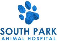 South park animal hospital