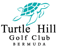 Turtle hill