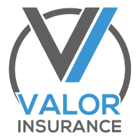 Valor insurance group