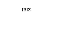 iBIZ Technology Corporation