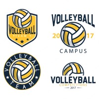 Volleyball baton rouge inc