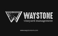 Waystone vineyard management
