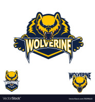 Wolverine sports club