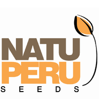 Natu peru seeds