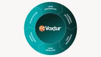 Voxtur composites