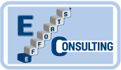 Efforts consulting