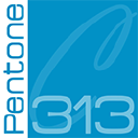 Pentone 313 concept pte ltd