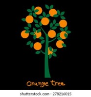 Orange Tree Limited