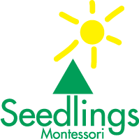 Seedlings montessori