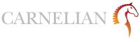 Carnelian capital management limited