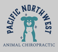 Back in the game animal chiropractic