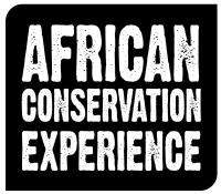 African conservation experience