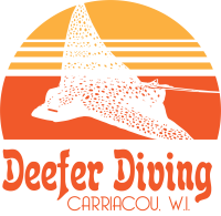 Deefer diving