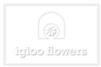 Igloo flowers