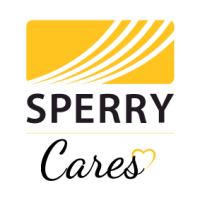 Sperry rail service
