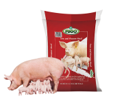 Sow and pigs limited