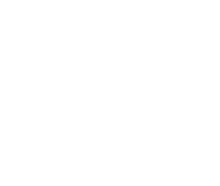 Belvas chocolates