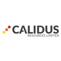 Calidus consulting