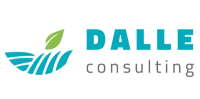Dalle consulting