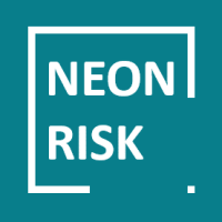 Neon risk consulting