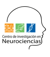 Centro de investigación y neurociencia aplicada (cina)