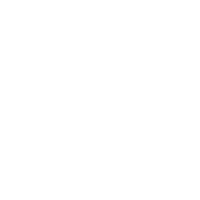 New forest polo club