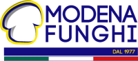 Modena funghi srl