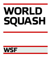 Wsf - worksys group