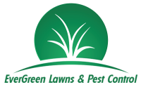 Evergreen Lawn and Pest Control Landscaping