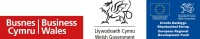 International Business Wales (Wales, UK)