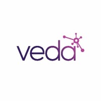 Veda data solutions