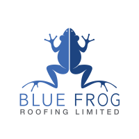 Blue frog construction