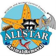 Allstar animal removal