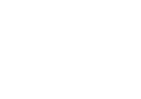 Digital lightbridge