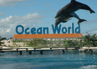 Ocean World Adventure Park, Marina & Casino