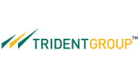 Trident IT Services