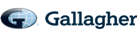 Gallagher financial services
