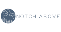 Notch above consulting