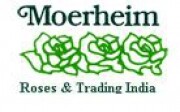 Moerheim Roses & Trading