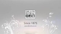 Dillon floral corporation