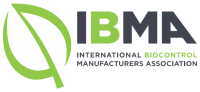 Ibma