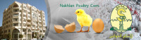 nakhlan poultry company