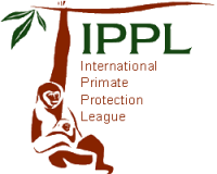 International primate protection league