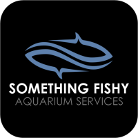 Something Fishy Aquarium Services