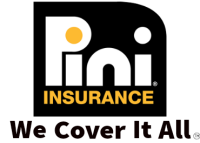 Pini insurance