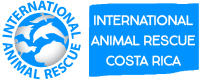 International animal rescue