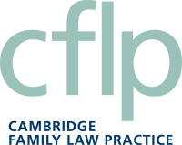The Family Law Practice
